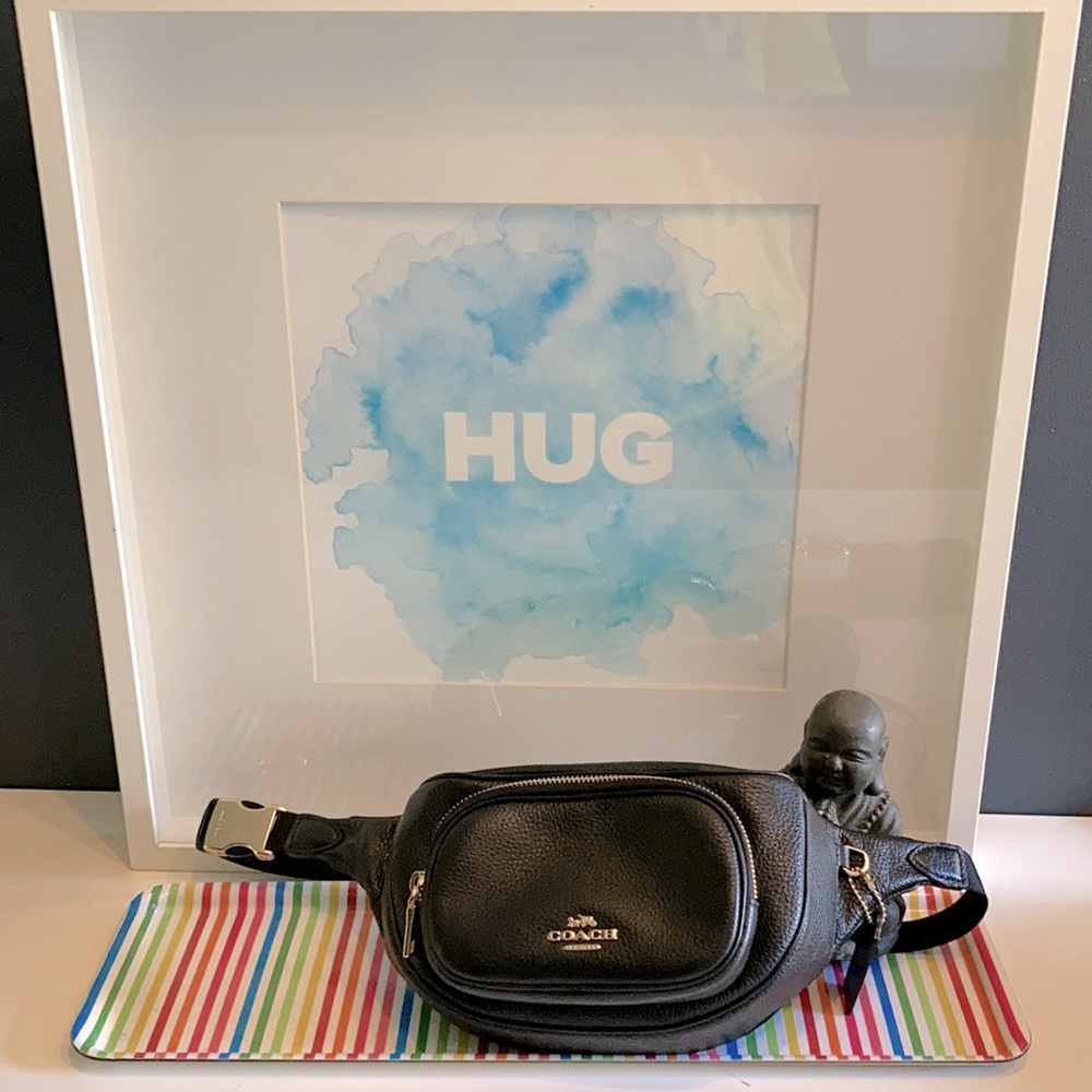 Coach belt bag